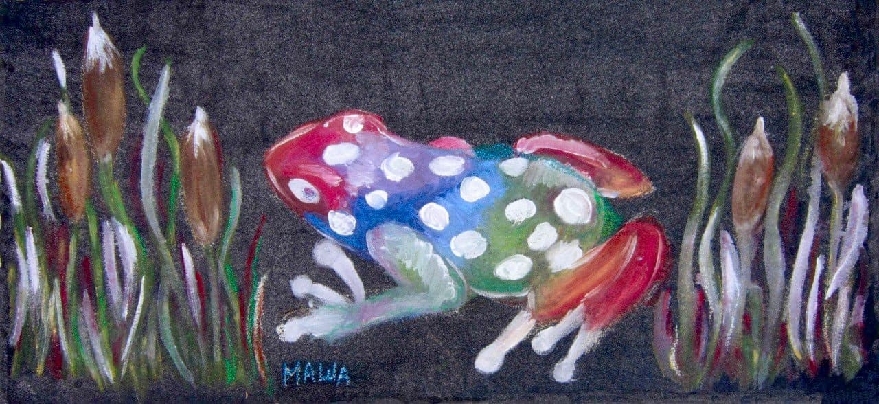 Rainbow frog